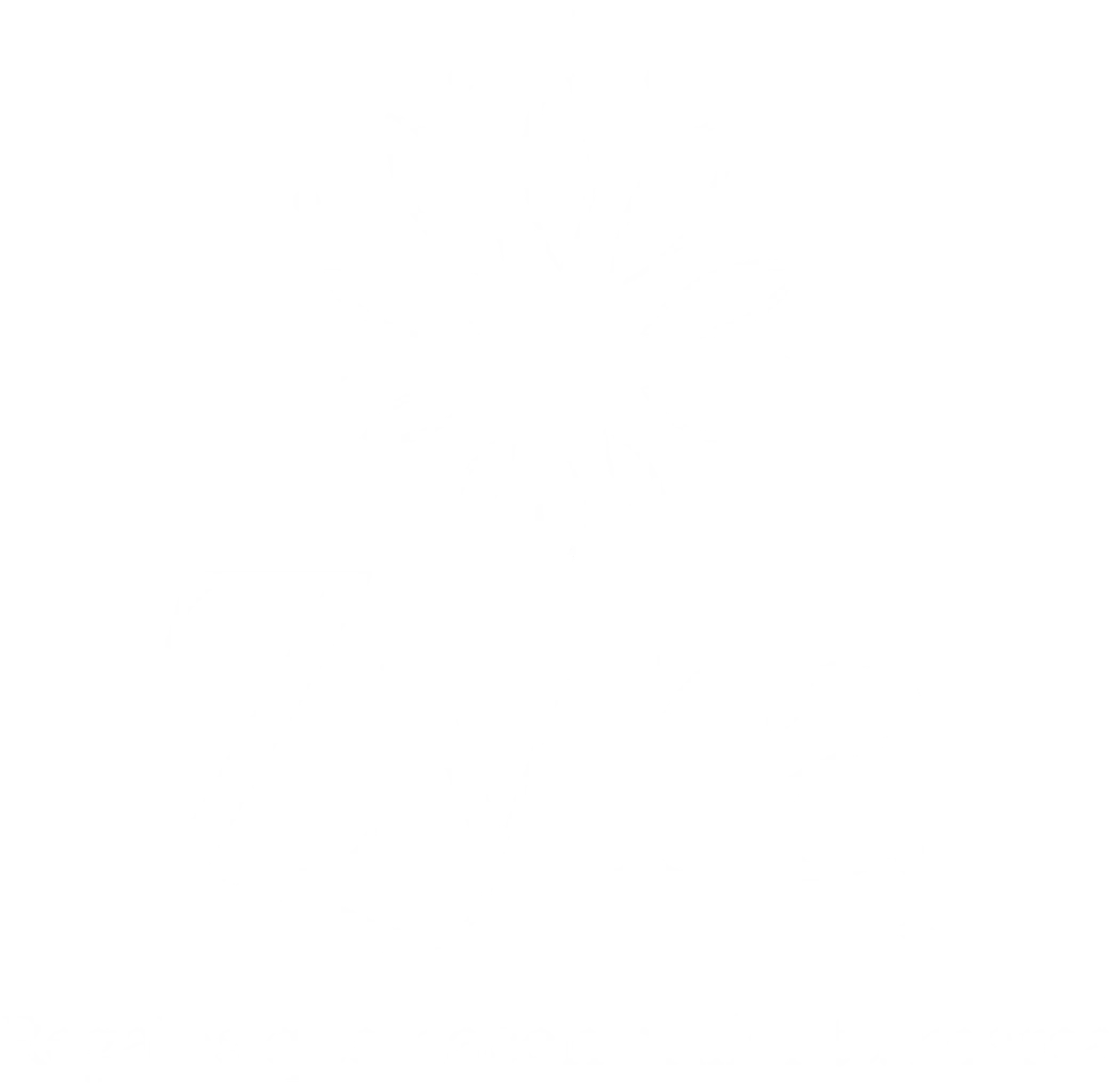 Zyra &mdash; Regalos que hacen brillar tu marca